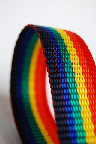 Rainbow 25mm polypropylene webbing